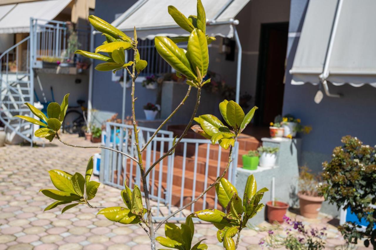 Vila Aulona Vlore Luaran gambar